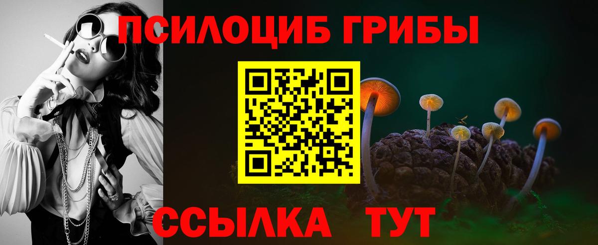 Галлюциногенные грибы MAGIC MUSHROOMS Сыктывкар